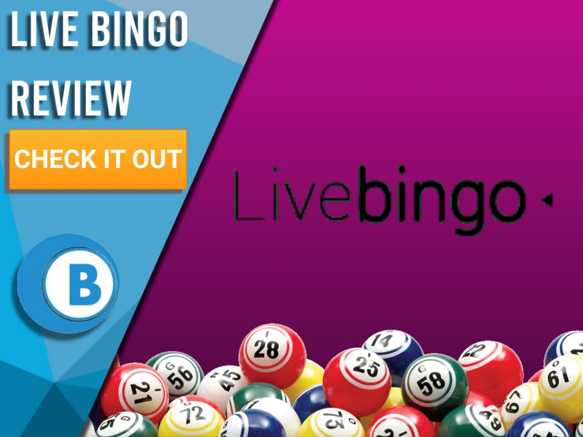 live bingo online real money