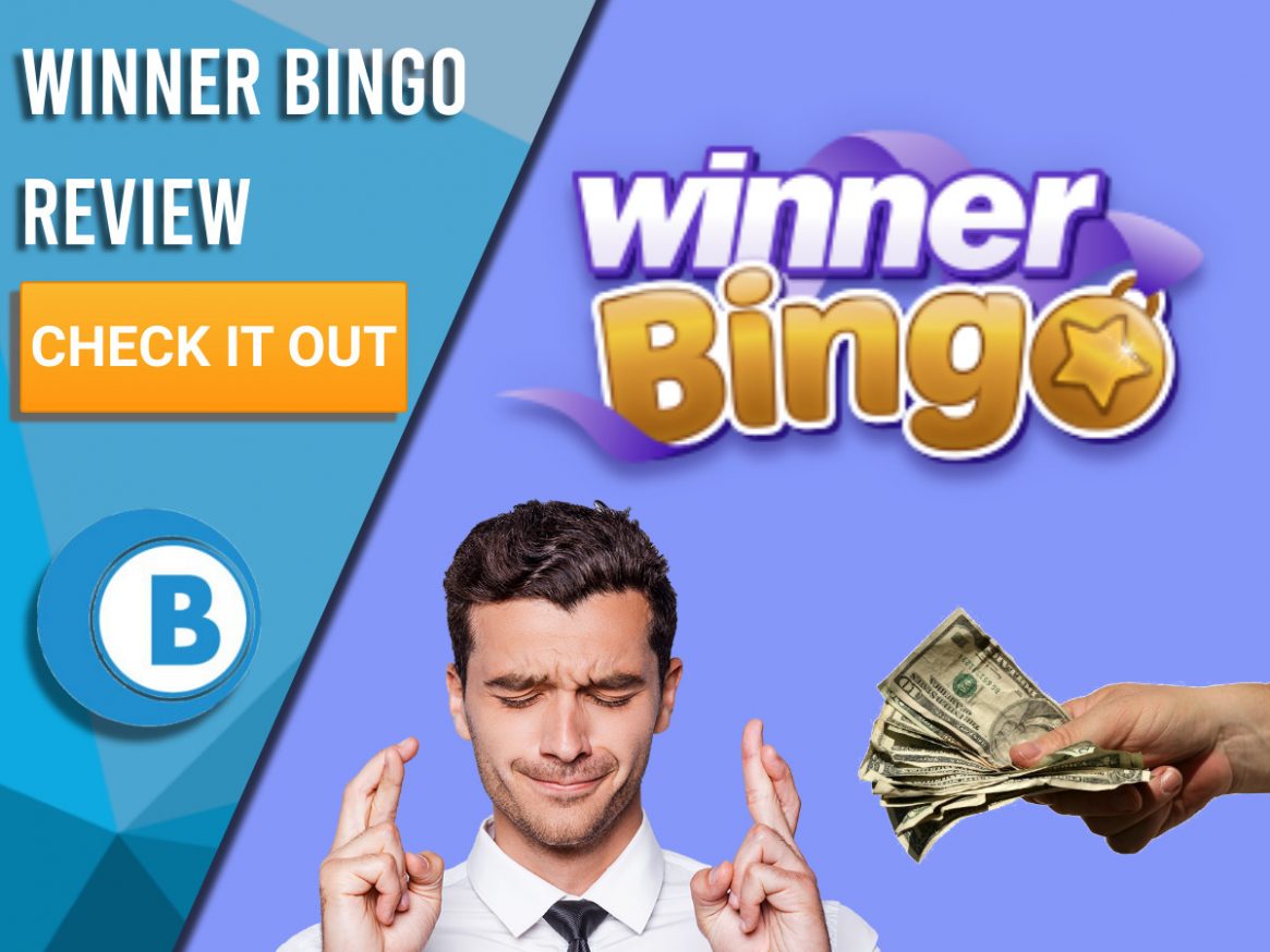 bingo winner ticket