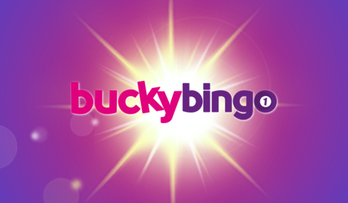 Bucky bingo contact number