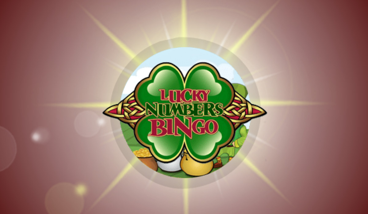 What is the best bingo site