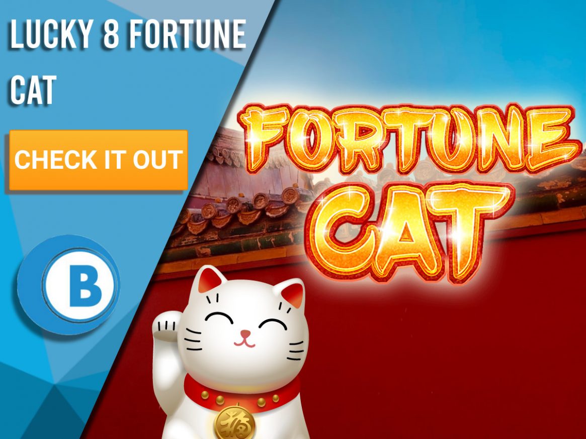 Lucky 8 Fortune Cat Slot Machine Sites 2023 | Claim your Bonuses