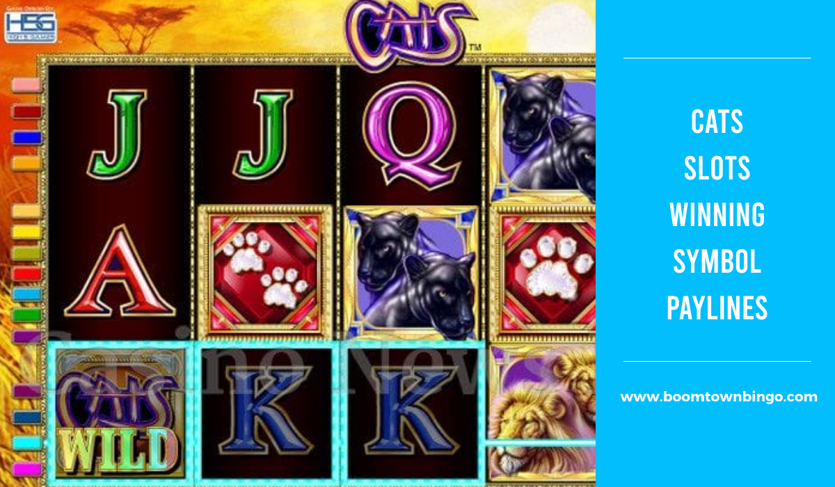 Cats Slots Symbol winning Paylines