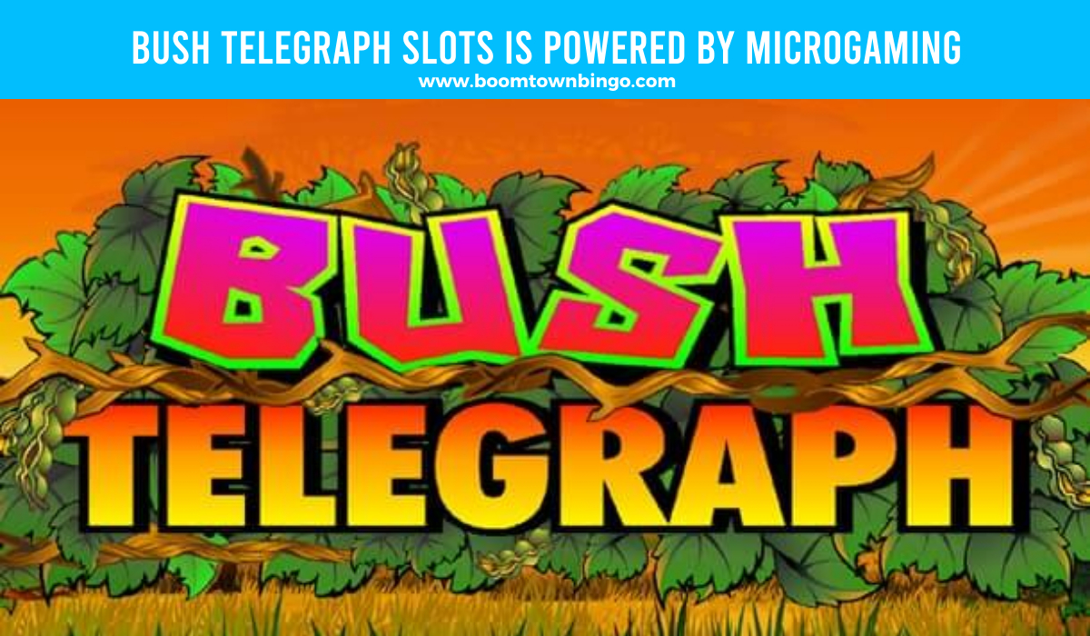 Bush Telegraph Slots is made by Microgaming