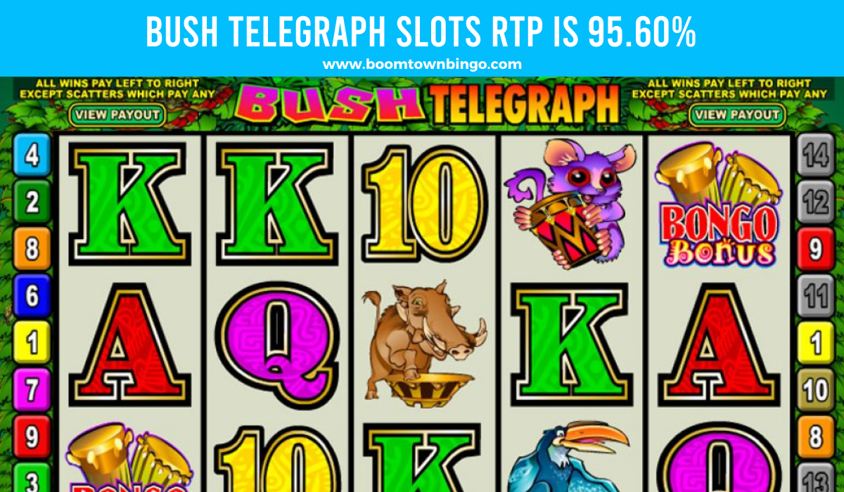 Bush Telegraph Slots Return to player