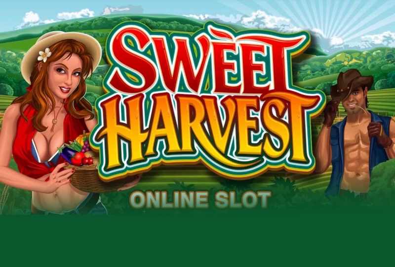 Sweet Harvest Slots Game