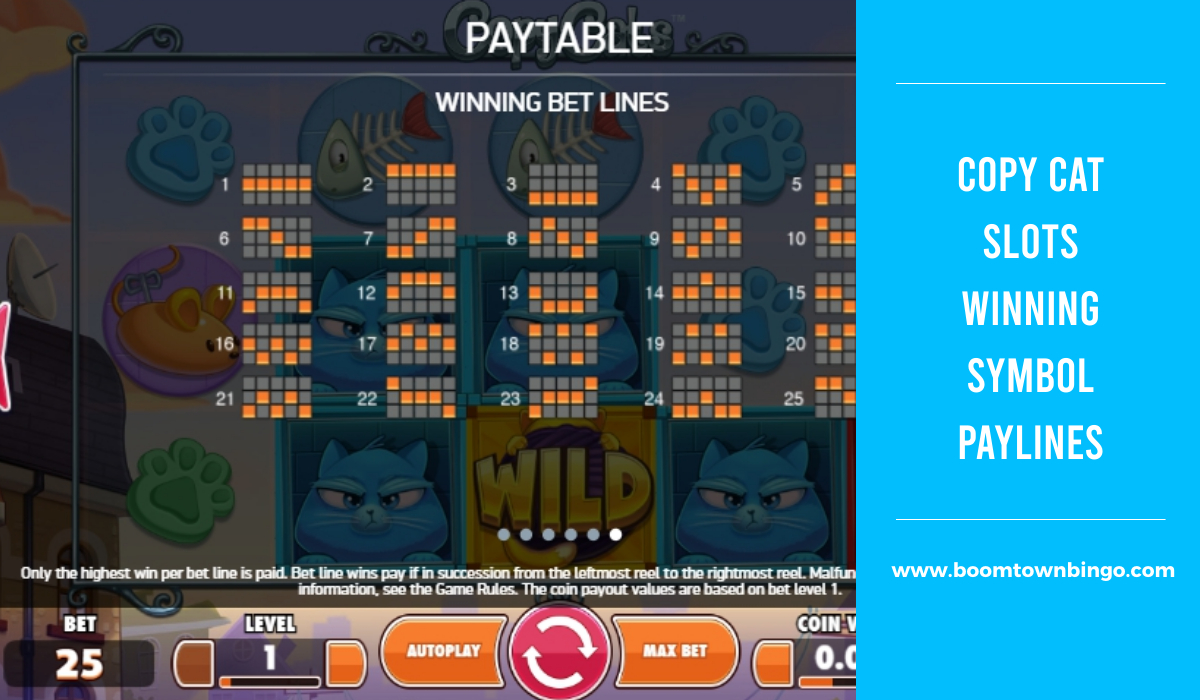 Copy Cat Slots Symbol winning Paylines