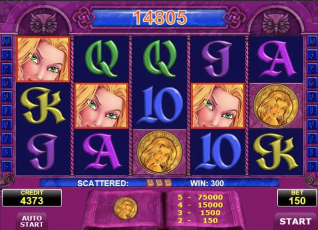 Book of Fortune Slots Gameplay